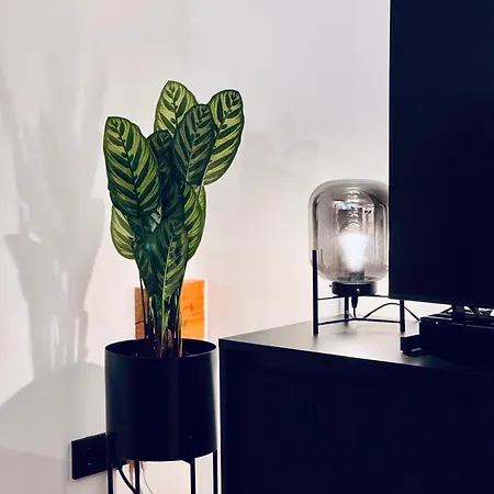 Apartment Tannensuite - Auszeit In Den Chiemgauer Bergen *